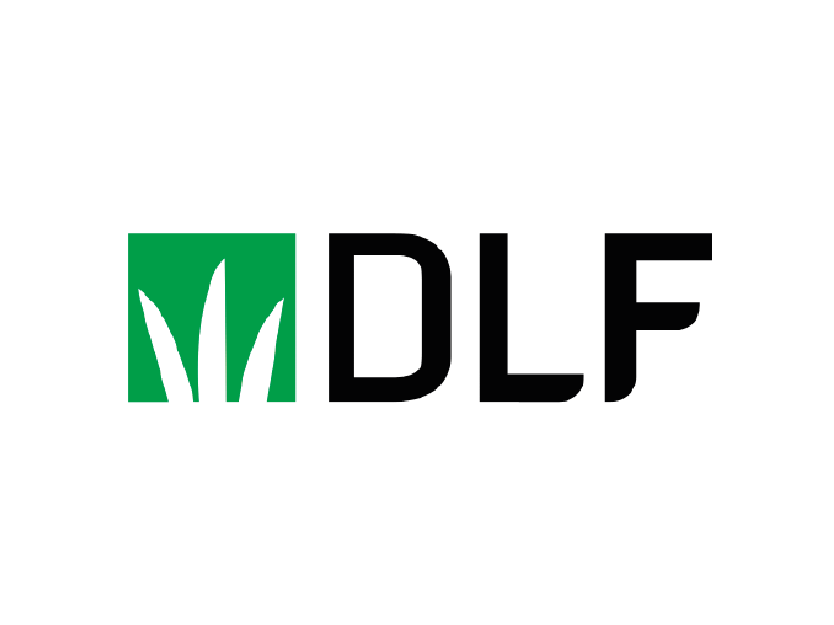 dlf