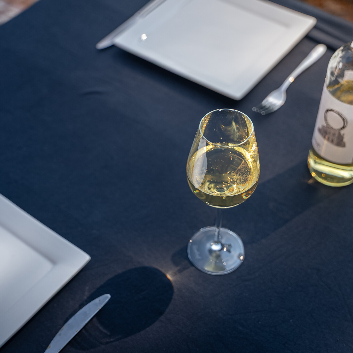 DSC01916 3 DSC01916 uai