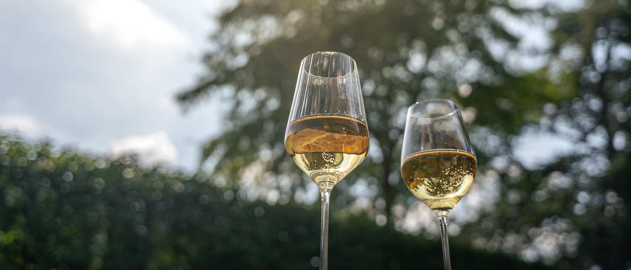 DSC01925 1 DSC01925 uai