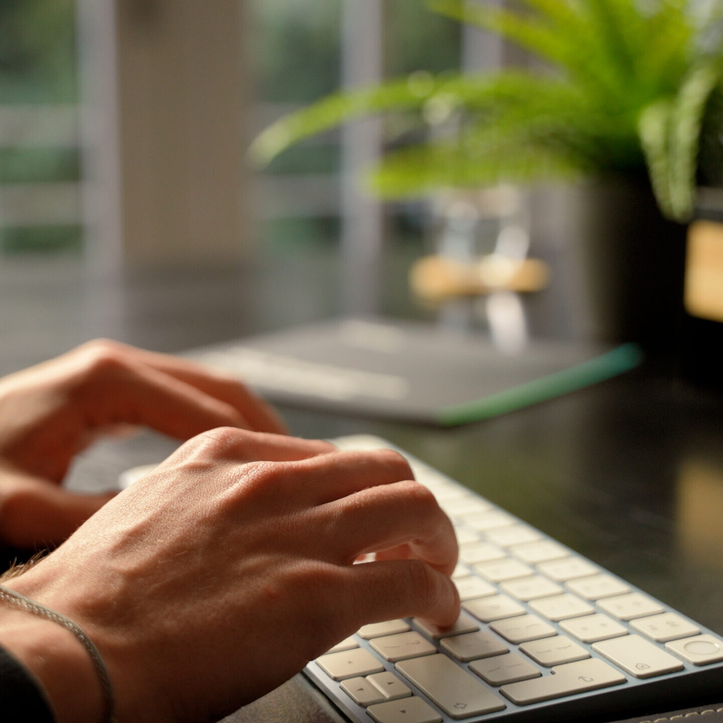 plaatjes export1 scaled uai